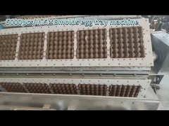 خط إنتاج صينية البيض