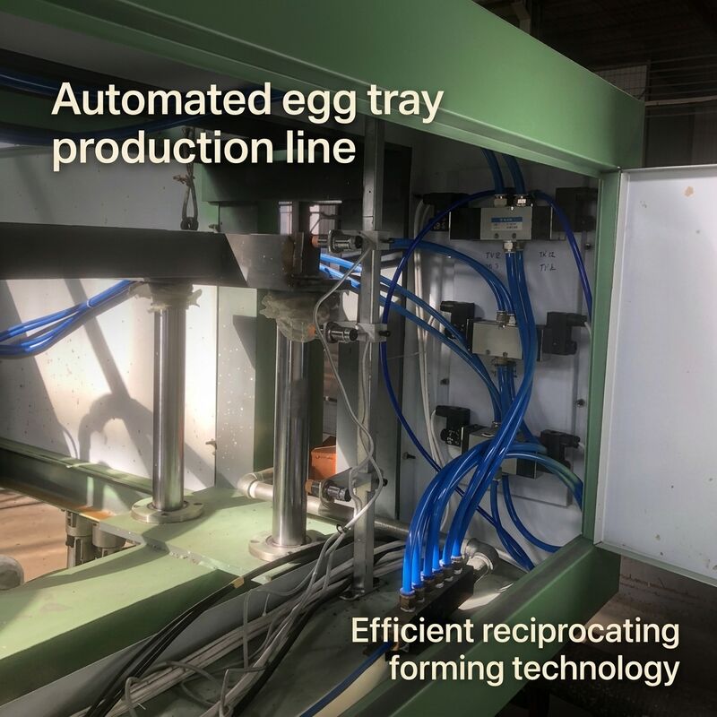 التلقائي 40KW Small1000pcs في الساعة آلة صينية البيض الورقية خط إنتاج EggTray لصنع صواني البيض كرتونة البيض صواني الأحذية صواني التفاح PLC التي تسيطر عليها
