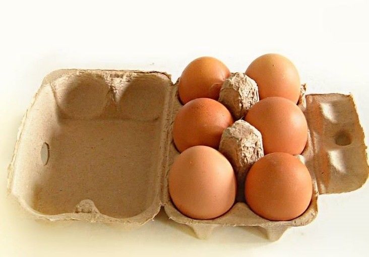 آلة تصنيع صحن الفاكهة والفاكهة والفاصوليا وصنعة صحن البيض وصنعة صحن البيض وصنعة صحن البيض